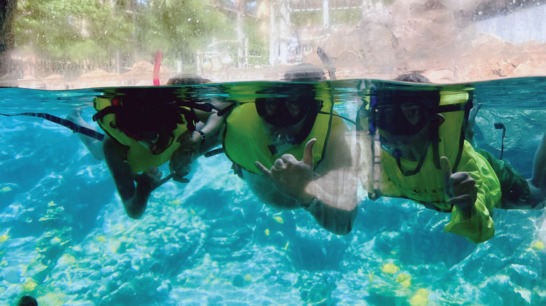 A family of four makes lasting memories on a hosted stay at Ko Olina's Aulani, a Disney Resort and Spa. Hanging loose in the Rainbow Reef, the resort's artificial saltwater lagoon, which has an area with glass panels for capturing Instagram-worthy shots.