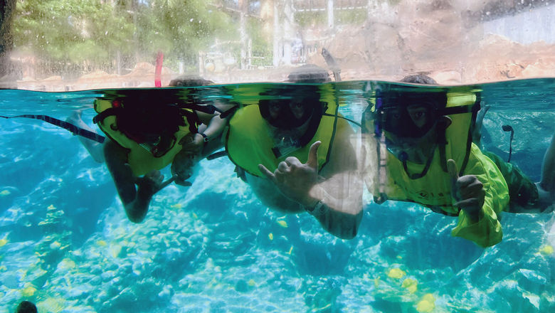 Hanging loose in the Rainbow Reef, the resort's artificial saltwater lagoon, which has an area with glass panels for capturing Instagram-worthy shots.