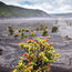 No lava, no problem at Hawaii Volcanoes National Park
