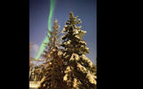 The northern lights put on a show in Fairbanks.