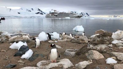 Travelsavers says its Antarctica bookings have risen 84% year over year.